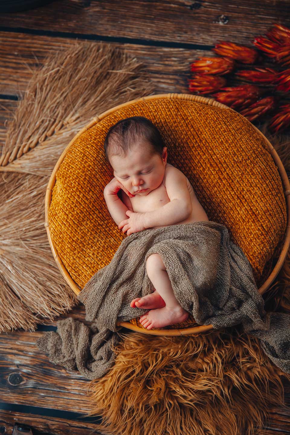 Newborn Fotografie - Babyfotografie- Ulff Berger, Gedankenlos Fotografie in Chemnitz