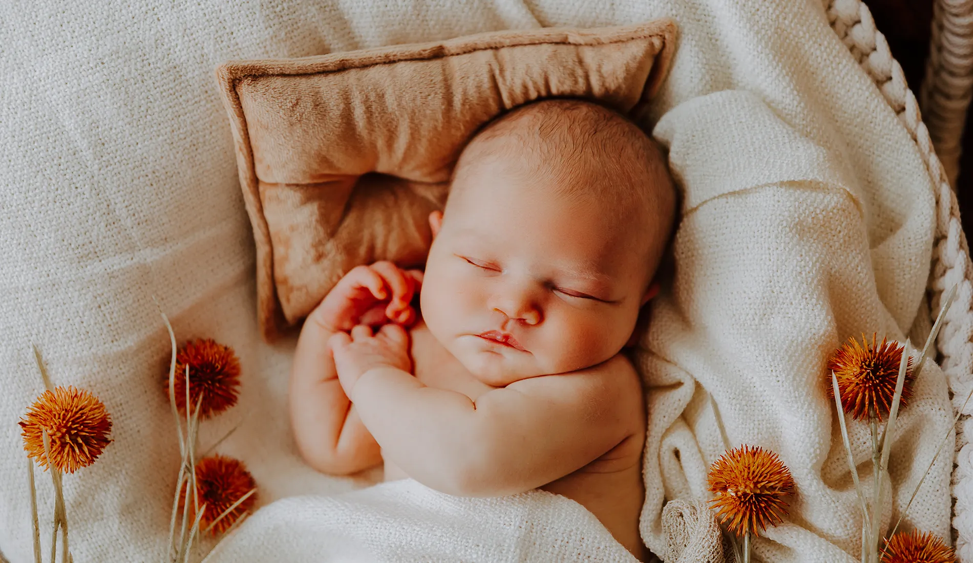 Newborn - Fotograf Chemnitz Babyfotografie Gedankenlos Fotografie